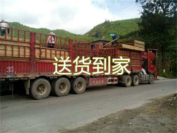 东丽到绥化货运公司-专线直达