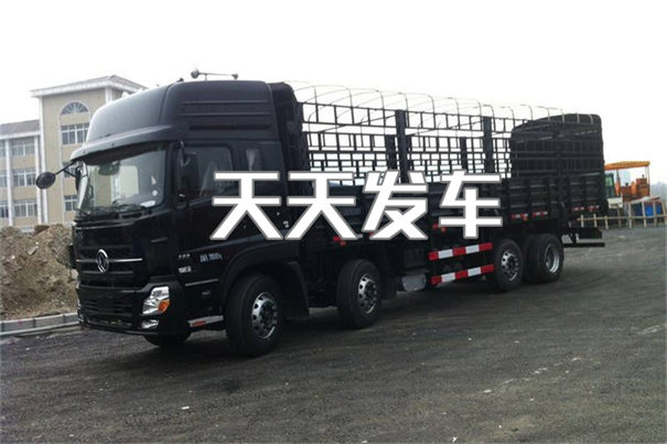 东丽到嘉兴货运公司-专线直达